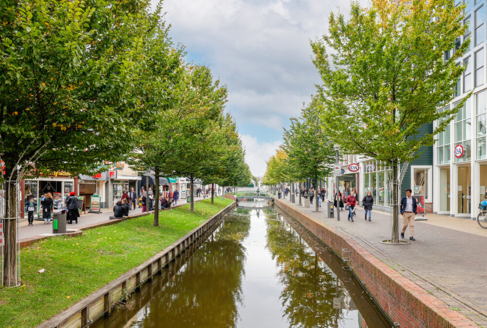 makelaar in zaandam